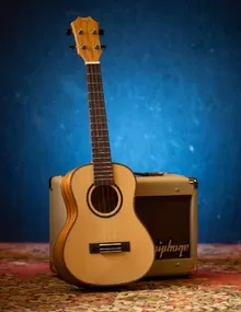 Акустическая гитара Искра Прометей GA-C/N-M/45